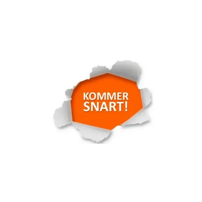 EK-BW1-TP, Gateway Voice Assistants - KNX